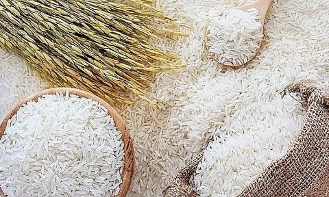 Giá lúa gạo chủ yếu đi ngang