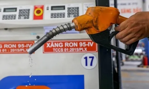 Giá xăng dầu điều chỉnh theo lịch mới từ 23/11 tới