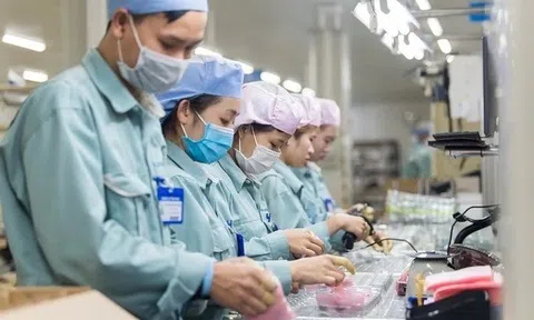 Tháng 11 hơn 14.000 doanh nghiệp thành lập mới, vốn đăng ký tăng mạnh