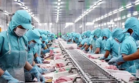 Xuất khẩu thủy sản đặt mục tiêu 9,5 tỷ USD năm 2024