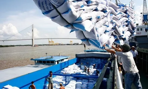 Xuất khẩu gạo đạt kỷ lục gần 4,8 tỷ USD