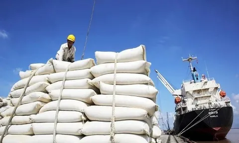 Xuất khẩu gạo có thể mang về hơn 5 tỷ USD trong năm 2024
