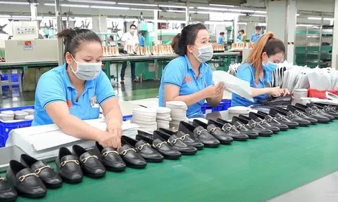 Việt Nam đứng thứ 2 thế giới về xuất khẩu giày dép 03/02/2024, 20:52