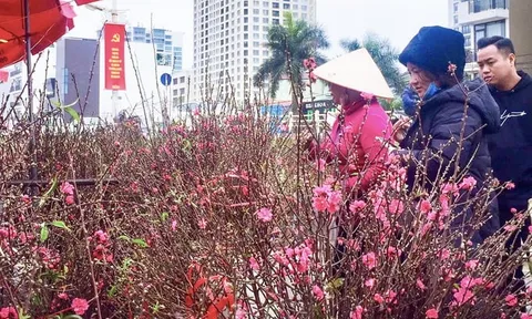 Tết Nguyên đán, miền Bắc có nơi xuống dưới 9 độ C