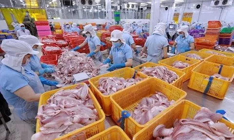 Xuất khẩu thủy sản đạt trên 1,3 tỷ USD trong 2 tháng đầu năm
