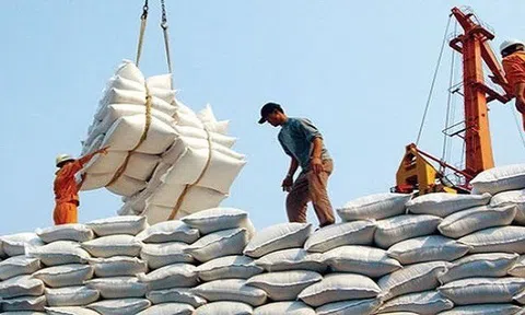 Xuất khẩu gạo mang về cho Việt Nam 1,43 tỷ USD